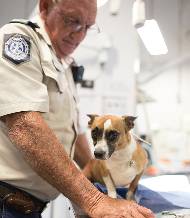RSPCA Queensland Inspector and dog